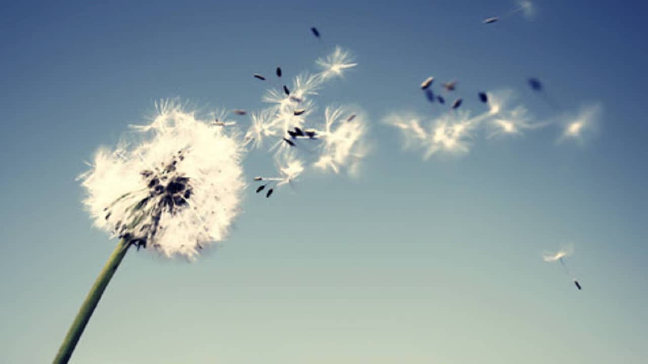 Il fine vita e il legislatore pensante. 3. Il punto di vista dei filosofi del diritto (di Angelo Costanzo, Lorenzo d'Avack, Salvatore Amato e Carla Faralli)