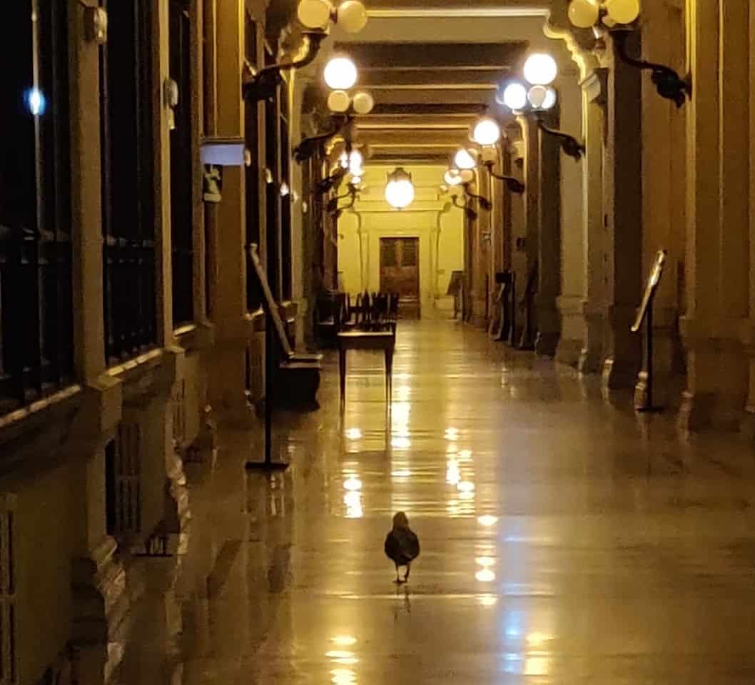 La riforma del processo civile in Cassazione. Note a prima lettura