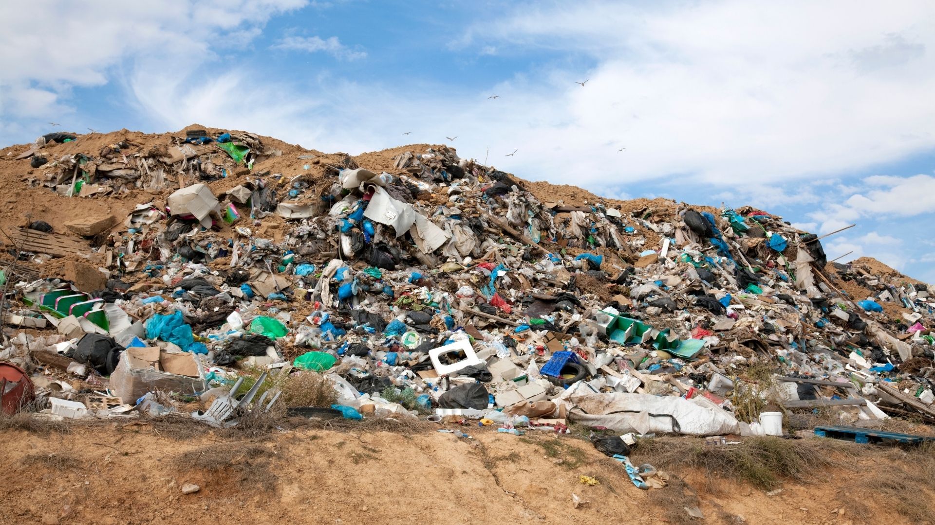 A ciascuno il suo: le Sezioni Unite della Corte di Cassazione intervengono sulla portata del principio del “chi inquina paga” e sul sistema distributivo delle responsabilità ambientali (nota a Cass., S.U., 1 febbraio 2023, n. 3077) di Roberto Leonardi