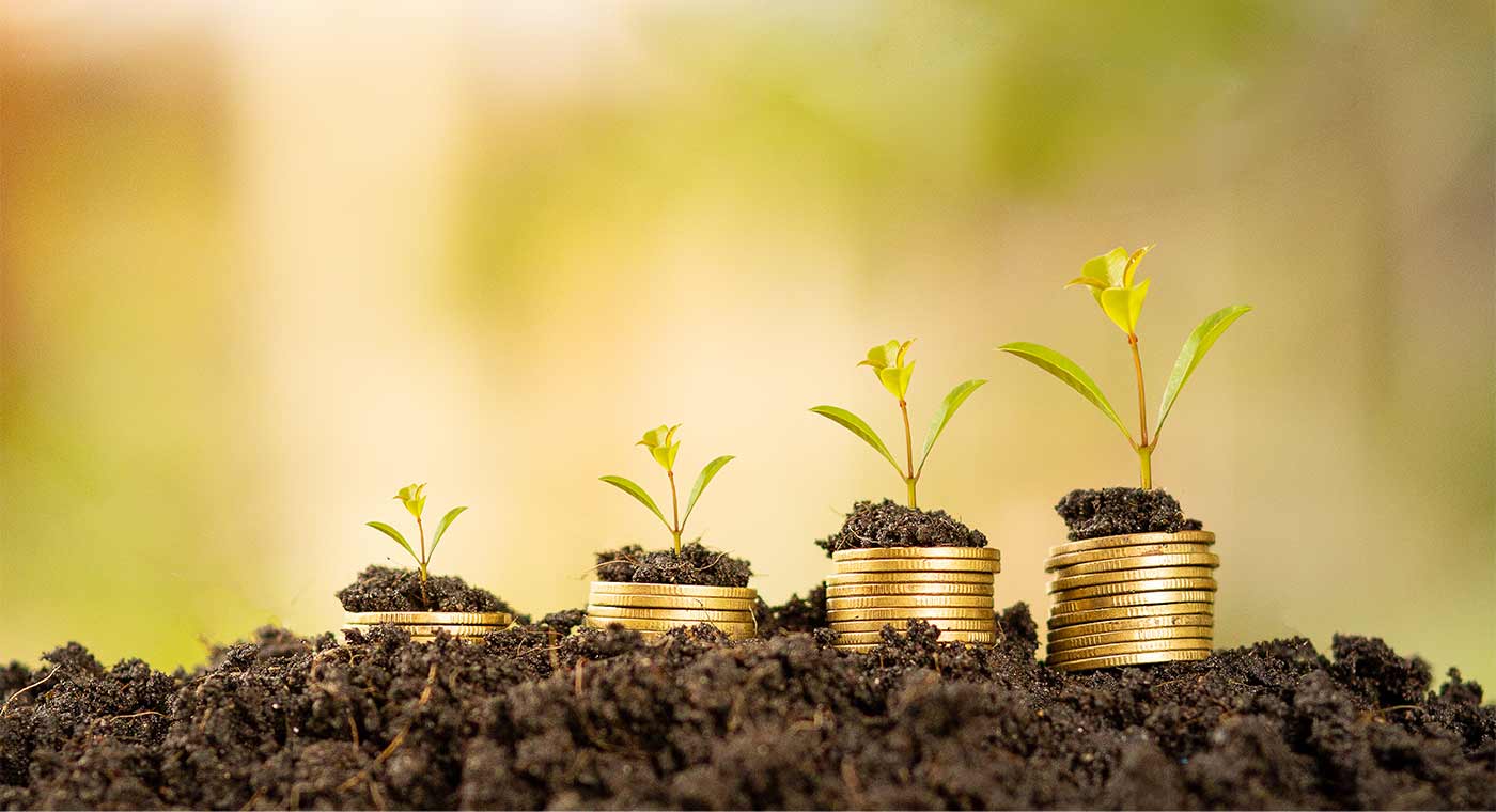 Do not significant harm e neutralità climatica