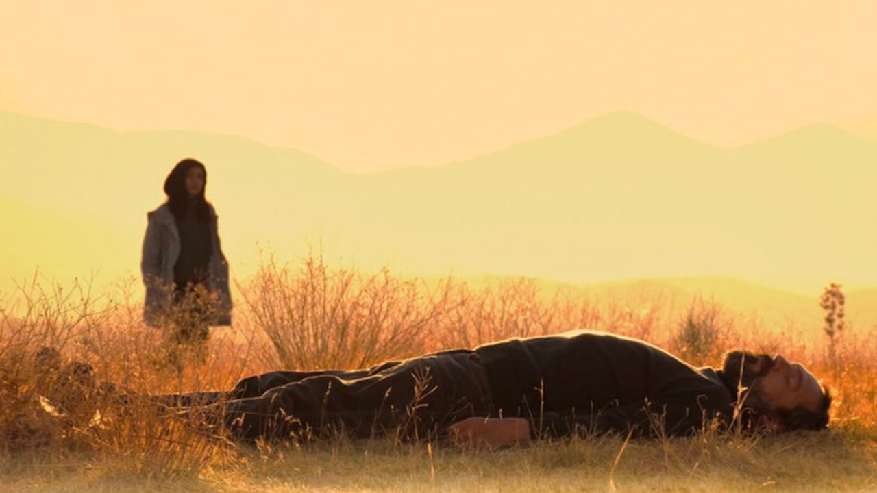 Il male non esiste. Recensione