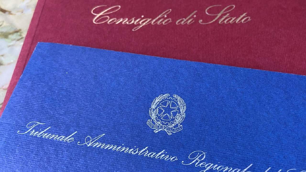 Contenuto conformativo della sentenza e competenza per l’ottemperanza