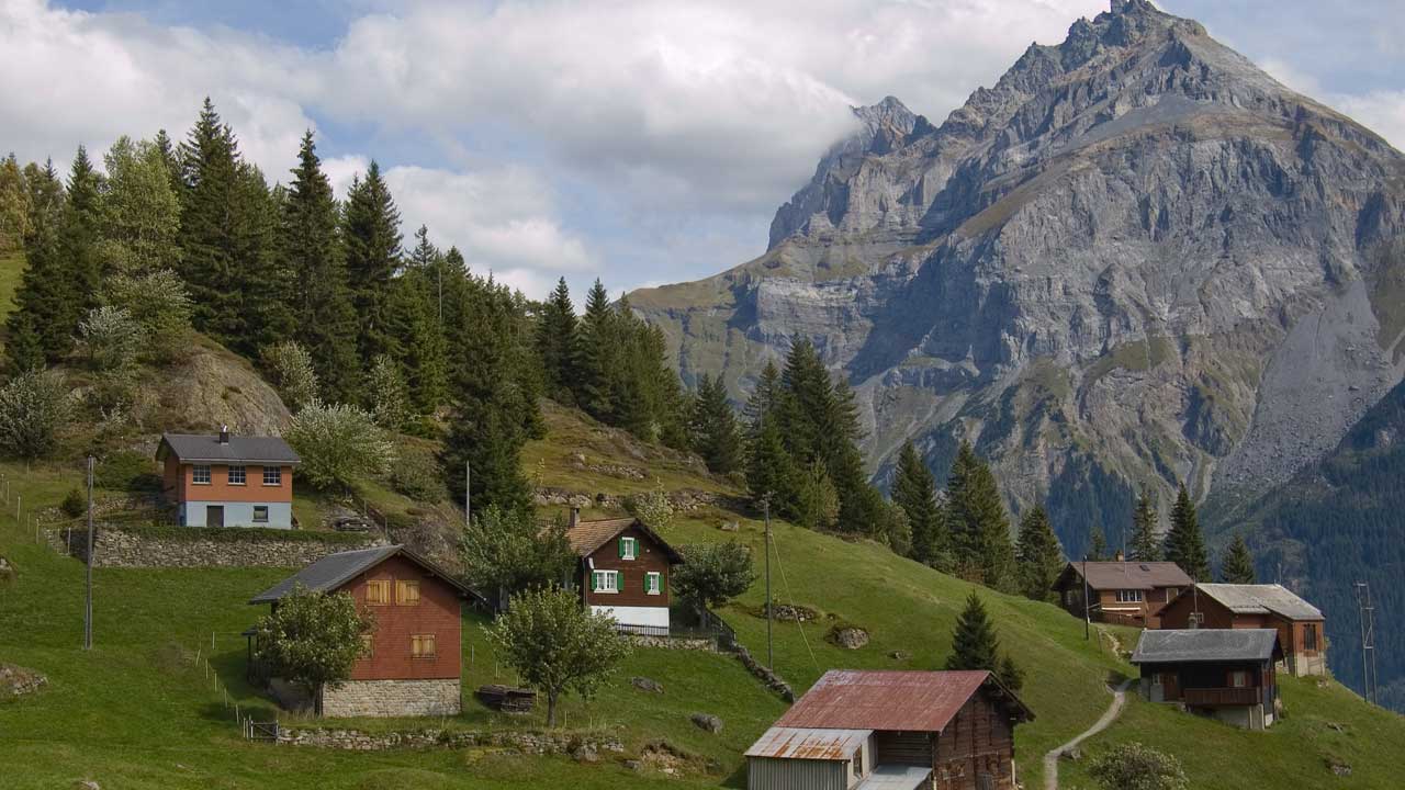 Diritto penale dell'ambiente