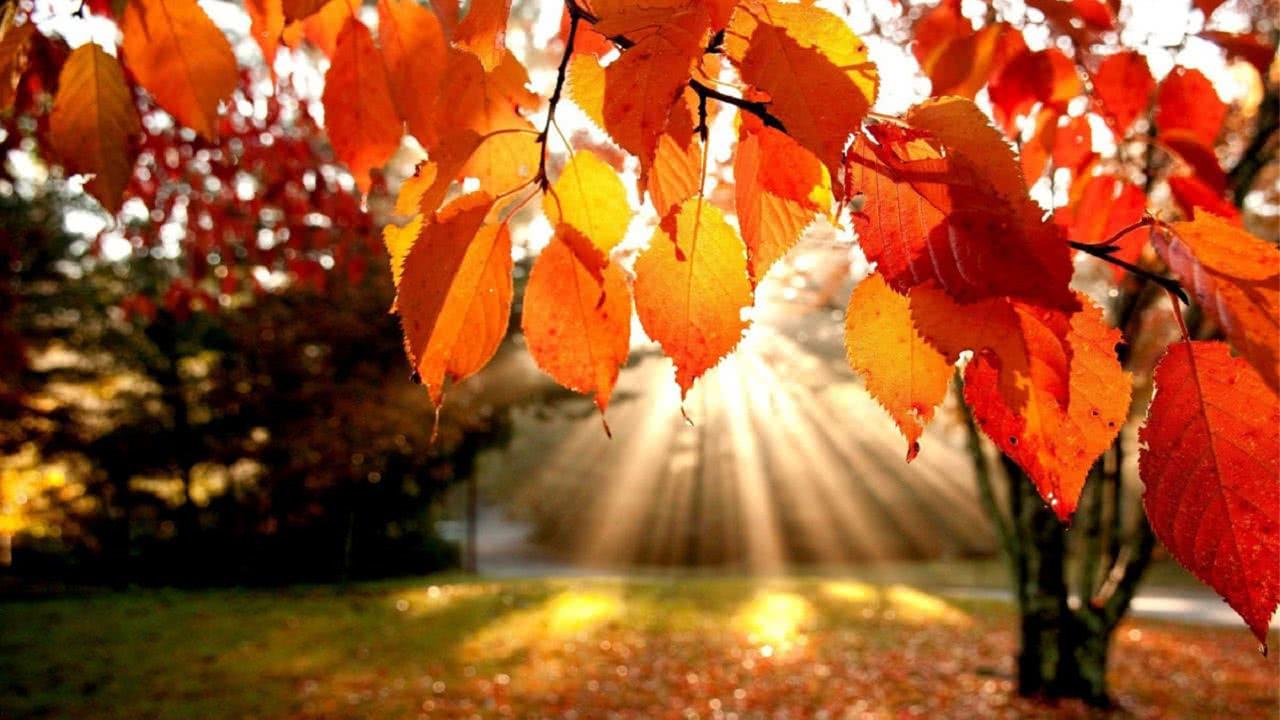 Scelte di vita o di morte: il giudice è garante della dignità umana?