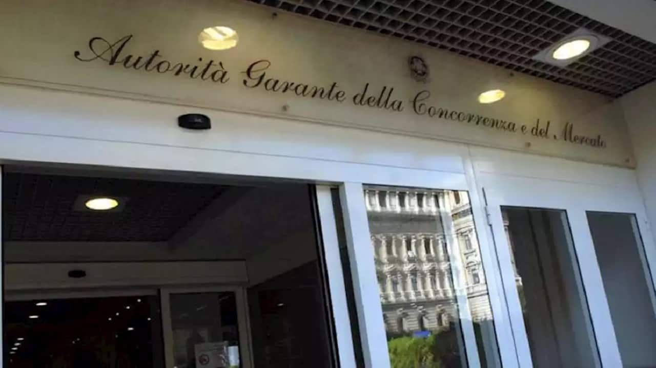 Autorità Garante della Concorrenza e del Mercato. Modello di bilanciamento nel procedimento sanzionatorio:  efficienza e  tutela dei diritti.