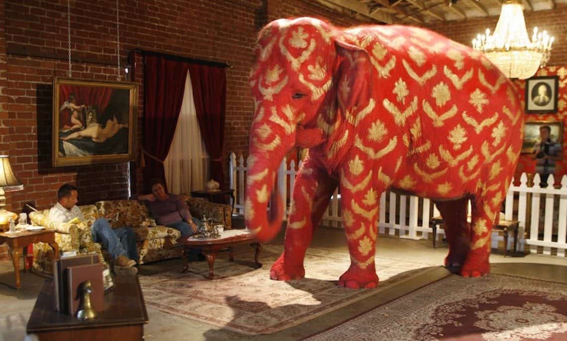 D.d.l. Nordio: l’interrogatorio prima della misura cautelare e l’elefante nella stanza