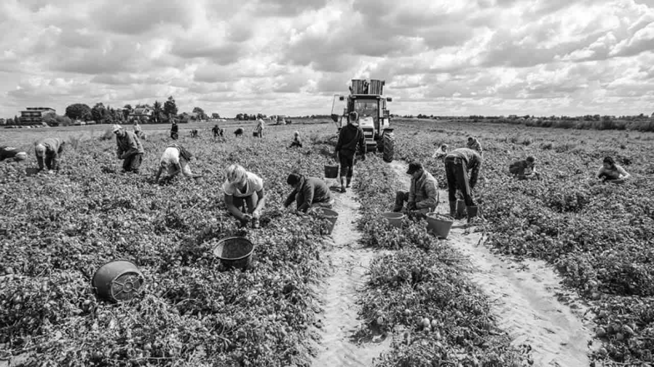 Mille giorni contro il caporalato. Ci vuole coraggio di Bruno Giordano